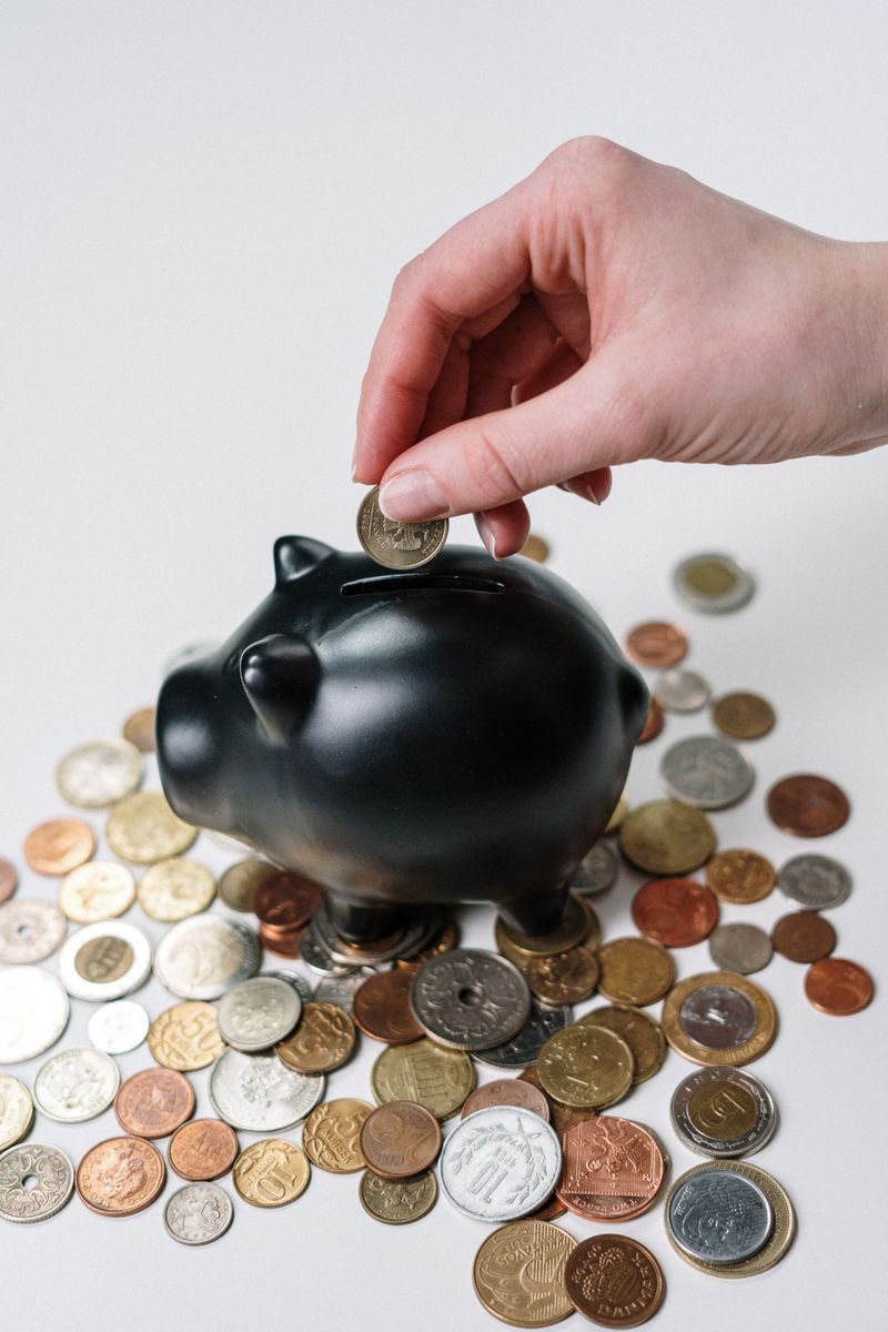 Savings investment coins