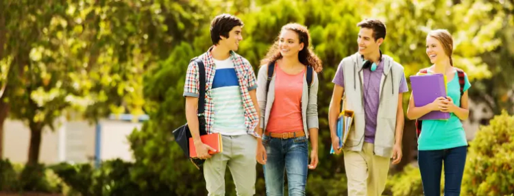 VITEEE 2026 Exam Date, Application Form, Fees, Eligibility, Syllabus, Pattern